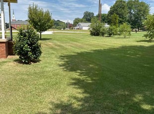 John W.'s grass maintenance service result