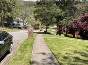 Jadyn G.'s landscaping service result