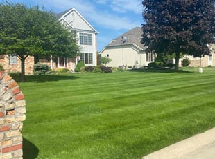 Linda T.'s grass cutting service result