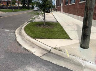 Donna S.'s grass maintenance service result