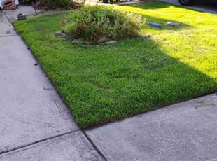 Danielle D.'s lawn maintenance service result