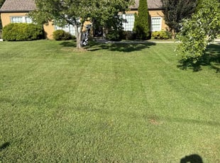 Dale M.'s lawn service service result