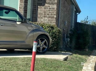 Jarred E.'s Bush Trimming service result