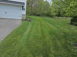 Steven S.'s lawn care services service result