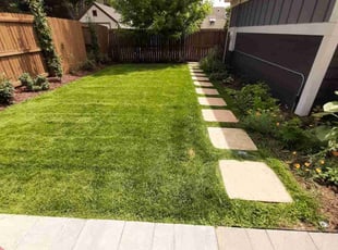 Sarah T.'s turf care service result