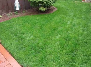 John M.'s lawn care service result