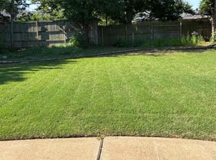 Gloria L.'s turf maintenance service result