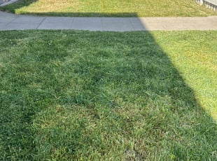Eric R.'s grass cutting service result