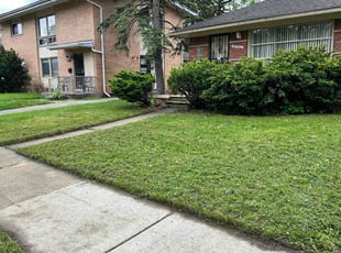 Robin K.'s grass maintenance service result