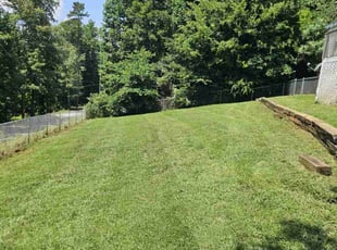 Anita L.'s lawn care service result
