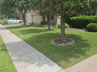 Steve B.'s turf care service result