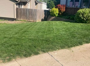 Dawn T.'s turf maintenance service result