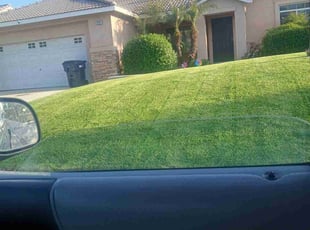 Robert B.'s grass cutting service result