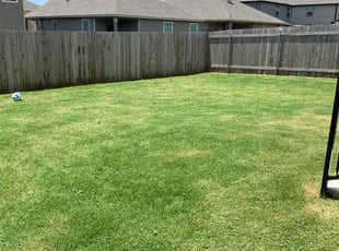 Michael S.'s lawn maintenance service result