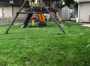 Stephen S.'s lawn care service result