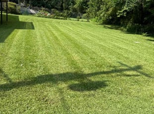 Mahammad A.'s lawn service service result