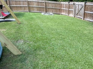 Khrystyna C.'s landscape maintenance service result