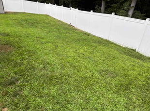 Timothy W.'s turf maintenance service result