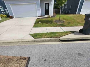 Maria R.'s grass cutting service result