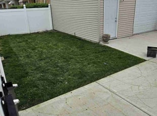 Timothy W.'s lawn care service result