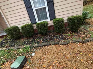 Karen S.'s grass maintenance service result