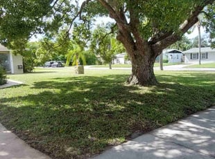 Eric G.'s lawn service service result