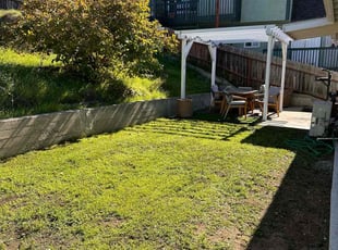 Kenneth C.'s grass maintenance service result