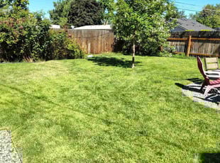 Gavin B.'s turf care service result
