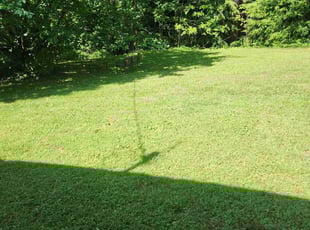 Korrine R.'s turf maintenance service result
