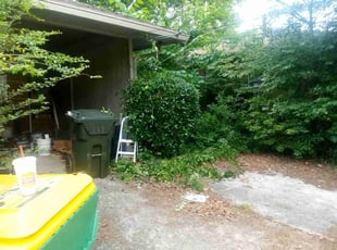 Jessica P.'s Bush Trimming service result