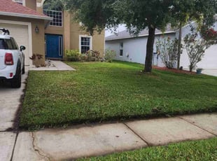 Sheila E.'s yard service service result