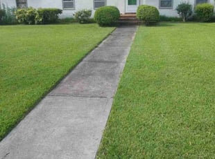 Jacque R.'s lawn care service result