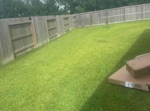 Michelle M.'s lawn service service result