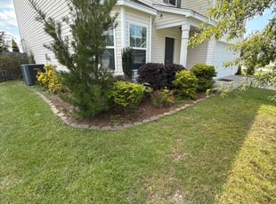 Annie N.'s Bush Trimming service result