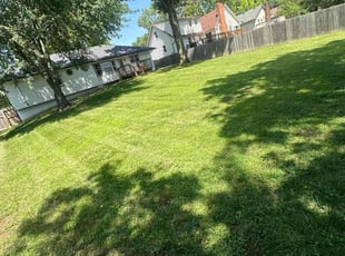 Nick I.'s grass cutting service result