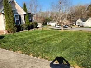 Paul H.'s grass maintenance service result