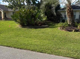 Jenny L.'s turf maintenance service result