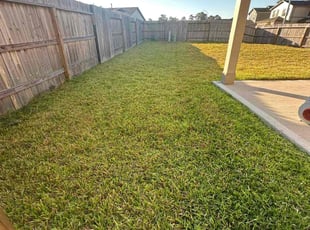 Matt M.'s lawn care services service result
