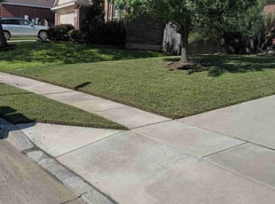 Sarah O.'s turf care service result