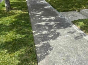 Ronald J.'s lawn maintenance service result