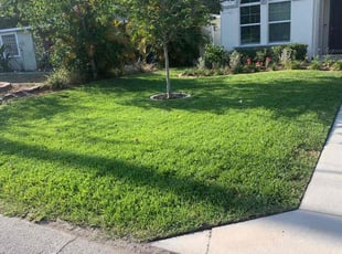 Raymundo S.'s yard maintenance service result