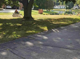 Alan C.'s turf maintenance service result