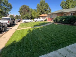 Sheneka J.'s grass maintenance service result