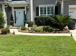 Kathi C.'s turf maintenance service result