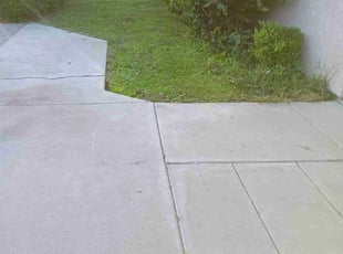 Katherine M.'s grass cutting service result