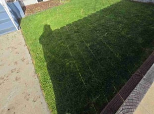 Thomas P.'s lawn service service result