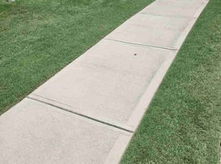 Noel M.'s lawn care service result