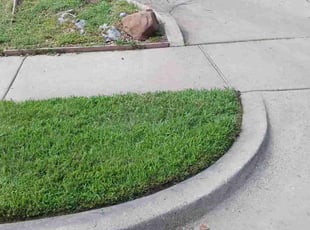 Larry S.'s lawn maintenance service result