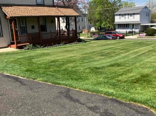 Troy B.'s lawn maintenance service result