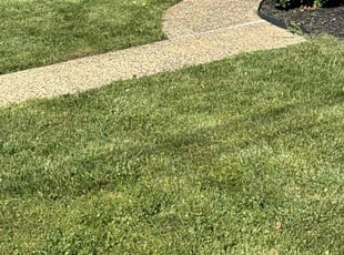 Deb S.'s lawn care services service result